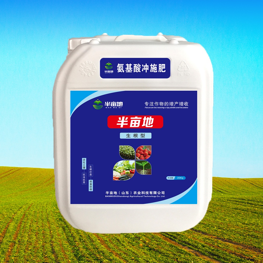生根
